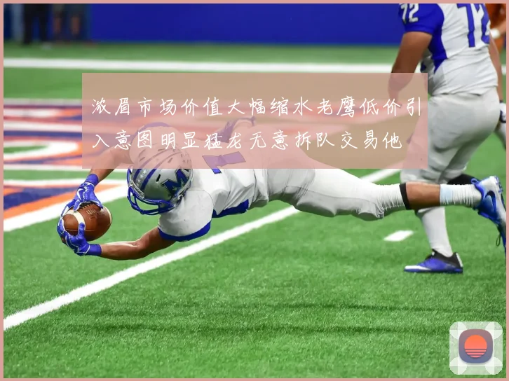 浓眉市场价值大幅缩水老鹰低价引入意图明显猛龙无意拆队交易他