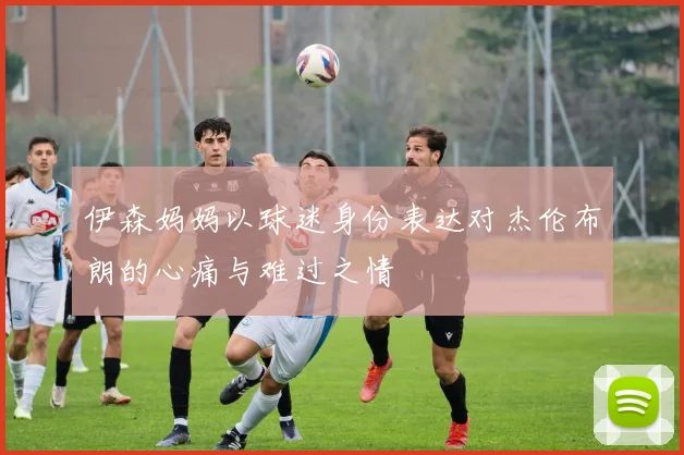伊森妈妈以球迷身份表达对杰伦布朗的心痛与难过之情